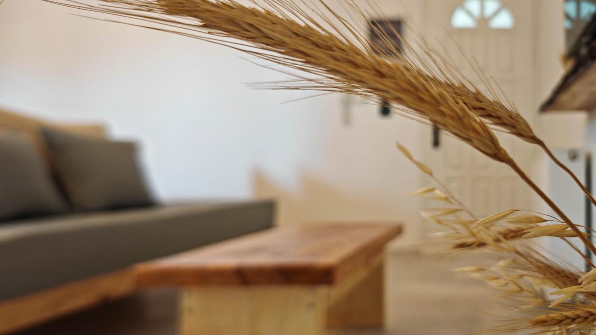 Paraga Suites Naxos City Buitenkant foto